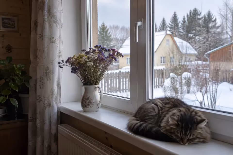 Повседневные предметы рядом с окном